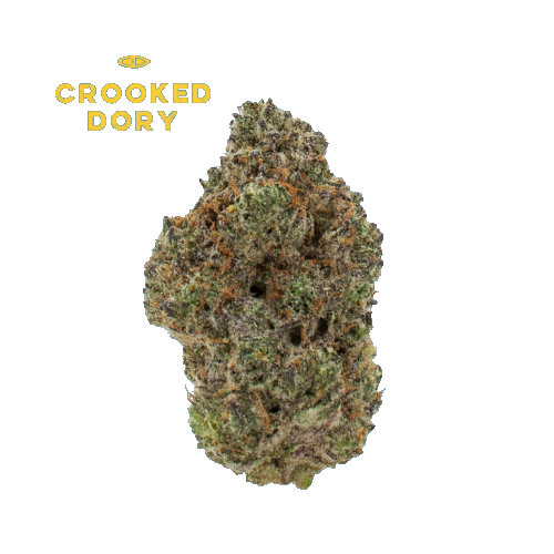 Northern Lights #5